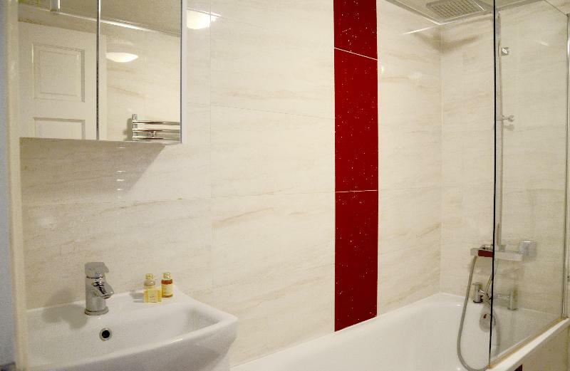 Hotel Oyo 146 Balfe Street King's X Londra